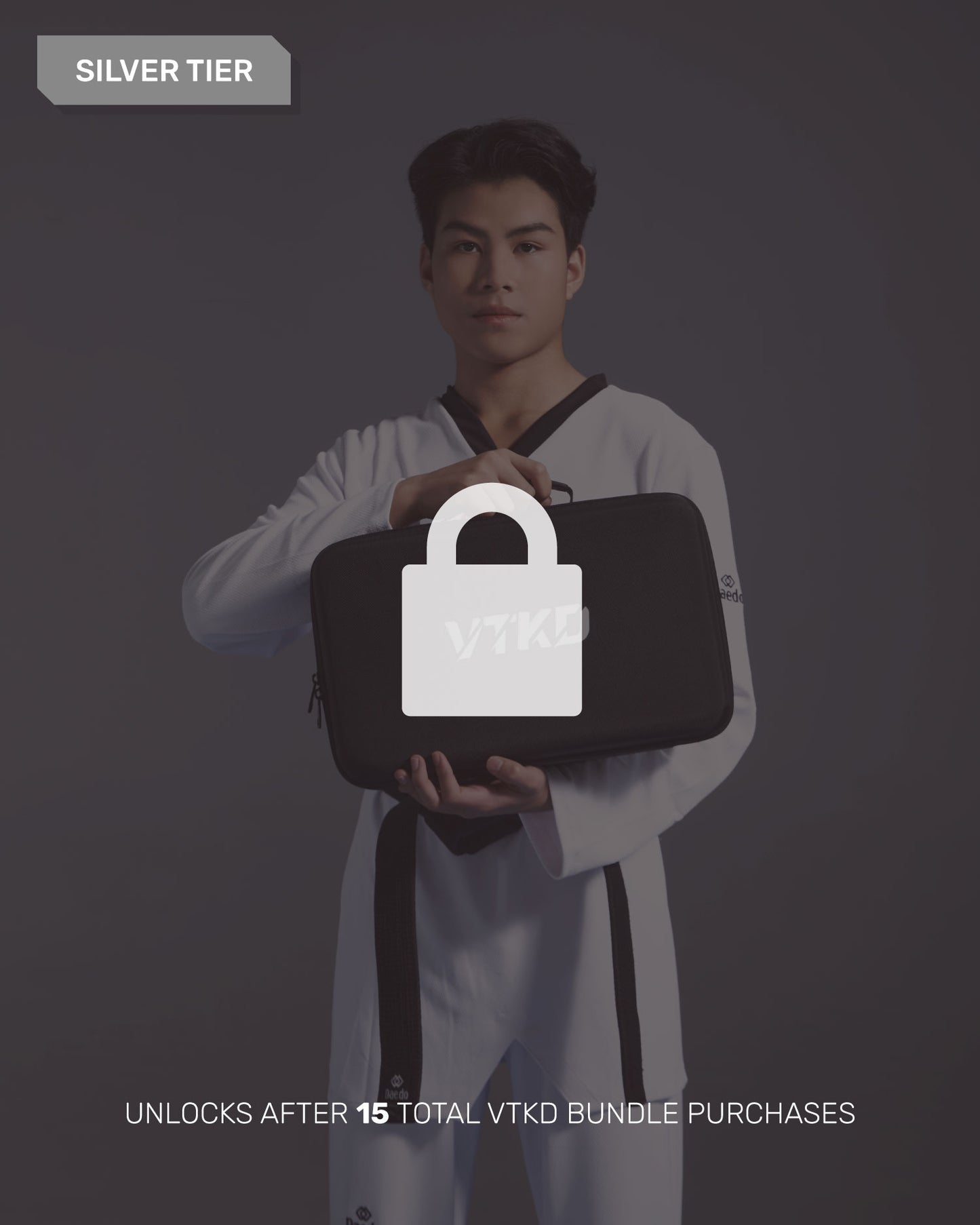 VTKD Bundle [Han Seng — Silver Tier]